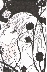 Rating: Safe Score: 0 Tags: 1girl flower image kirakishou monochrome profile rose solo User: admin