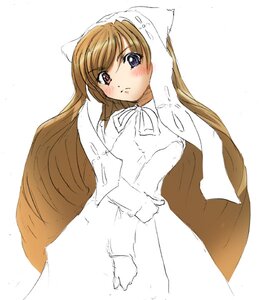 Rating: Safe Score: 0 Tags: 1girl blue_eyes blush brown_hair dress gloves heterochromia image long_hair long_sleeves looking_at_viewer red_eyes simple_background solo striped suiseiseki very_long_hair white_background white_dress User: admin