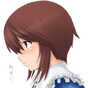 Rating: Safe Score: 0 Tags: 1girl apron blush brown_eyes brown_hair closed_mouth frilled_apron frills from_side image looking_away nishizumi_maho portrait profile red_eyes short_hair simple_background solo souseiseki striped striped_shirt sweat sweatdrop vertical_stripes white_background User: admin