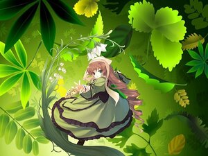Rating: Safe Score: 0 Tags: 1girl absurdly_long_hair brown_hair capelet dress flower frills green_dress green_eyes green_theme heterochromia image leaf long_hair long_sleeves looking_at_viewer minigirl plant solo suiseiseki very_long_hair watering_can User: admin
