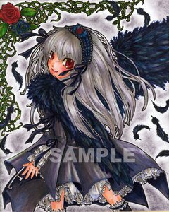 Rating: Safe Score: 0 Tags: 1girl black_wings bloomers blue_flower blush dress feathers flower frills hairband image long_hair long_sleeves looking_at_viewer red_eyes rose silver_hair smile solo suigintou traditional_media underwear wings User: admin