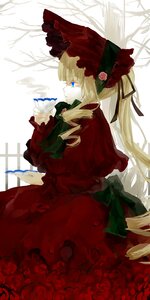 Rating: Safe Score: 0 Tags: 1girl blonde_hair blue_eyes bonnet bug butterfly capelet dress drill_hair flower image insect long_hair long_sleeves red_dress red_flower red_rose rose shinku solo twintails very_long_hair User: admin