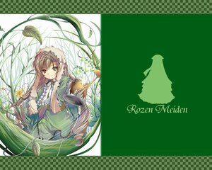 Rating: Safe Score: 0 Tags: 1girl brown_hair dress flower frills green_dress hairband heterochromia image long_hair long_sleeves looking_at_viewer plant red_eyes smile solo suiseiseki very_long_hair vines watering_can User: admin