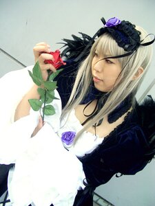 Rating: Safe Score: 0 Tags: 1girl dress flower long_hair long_sleeves red_eyes rose solo suigintou white_hair User: admin