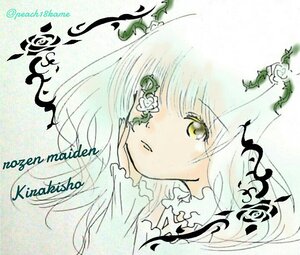 Rating: Safe Score: 0 Tags: 1girl bangs closed_mouth eyebrows_visible_through_hair flower image kirakishou leaf long_hair looking_at_viewer rose solo traditional_media yellow_eyes User: admin