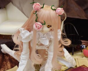 Rating: Safe Score: 0 Tags: 1girl blonde_hair doll dress flower kirakishou long_hair photo pink_flower pink_hair pink_rose red_rose rose sitting solo thorns very_long_hair white_rose yellow_eyes User: admin