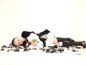 Rating: Safe Score: 0 Tags: 1girl boots dress flower full_body solo suigintou thighhighs User: admin