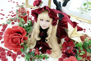 Rating: Safe Score: 0 Tags: 1girl blonde_hair blue_eyes flower lolita_fashion long_hair petals pink_rose red_flower red_rose rose rose_petals shinku solo thorns User: admin