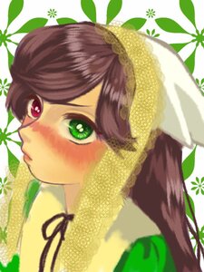 Rating: Safe Score: 0 Tags: 1girl blush brown_hair face green_eyes image leaf lips looking_at_viewer plant ribbon short_hair solo suiseiseki User: admin