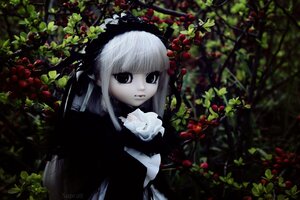 Rating: Safe Score: 0 Tags: 1girl bangs black_dress black_eyes blurry closed_mouth doll dress flower fruit leaf long_hair looking_at_viewer outdoors plant red_flower solo suigintou upper_body User: admin