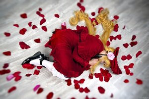 Rating: Safe Score: 0 Tags: 2girls blonde_hair closed_eyes dress flower long_hair multiple_girls petals rose rose_petals shinku shoes solo twintails white_legwear User: admin