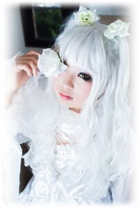 Rating: Safe Score: 0 Tags: 1girl animal_ears blurry blurry_background depth_of_field flower hair_ornament kirakishou lips looking_at_viewer solo white_flower white_hair white_theme User: admin