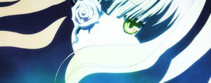 Rating: Safe Score: 0 Tags: 1girl blush close-up eyebrows_visible_through_hair flower green_eyes image kirakishou looking_at_viewer rose solo white_flower white_rose User: admin