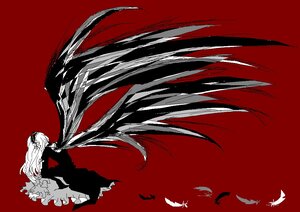 Rating: Safe Score: 0 Tags: 1girl absurdly_long_hair bird cape edelgard_von_hresvelg feathers image limited_palette long_hair long_sleeves red_background red_sky red_theme simple_background solo suigintou very_long_hair wings User: admin