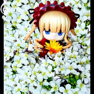 Rating: Safe Score: 0 Tags: 1girl bangs blonde_hair blue_eyes daisy doll dress flower letterboxed lily_(flower) long_hair looking_at_viewer shinku solo traditional_media white_flower white_rose User: admin