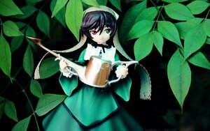 Rating: Safe Score: 0 Tags: 1girl black_hair cup doll dress frills green_eyes heterochromia leaf long_hair long_sleeves looking_at_viewer plant red_eyes solo suiseiseki watering_can User: admin