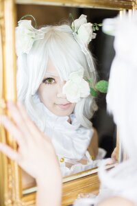 Rating: Safe Score: 0 Tags: 1girl blurry blurry_background blurry_foreground depth_of_field flower hair_ornament kirakishou lips looking_at_viewer photo solo white_flower white_hair white_rose User: admin