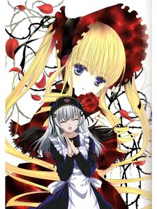 Rating: Safe Score: 0 Tags: 2girls black_dress blonde_hair blue_eyes closed_eyes dress flower frills hairband image long_hair long_sleeves looking_at_viewer multiple_girls pair red_flower red_rose rose shinku silver_hair suigintou twintails User: admin