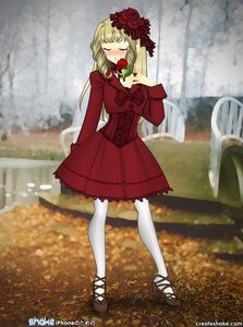 Rating: Safe Score: 0 Tags: 1girl blonde_hair blurry blush closed_eyes dress flower hair_ornament image pantyhose red_flower red_rose rose shinku solo white_legwear User: admin