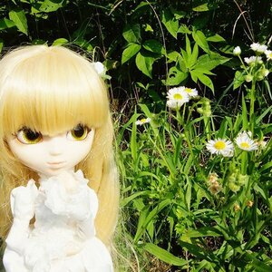 Rating: Safe Score: 0 Tags: 1girl bangs blonde_hair doll flower kirakishou long_hair looking_at_viewer plant solo yellow_eyes User: admin