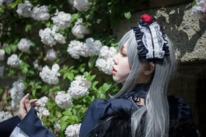 Rating: Safe Score: 0 Tags: 1girl blurry dress flower gothic_lolita lips lolita_fashion long_hair long_sleeves nail_polish profile realistic silver_hair solo suigintou white_flower User: admin