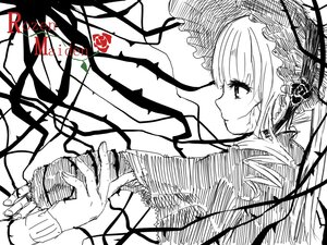 Rating: Safe Score: 0 Tags: 1girl bangs bonnet closed_mouth dress flower frills hairband image long_sleeves monochrome profile rose shinku smile solo suigintou User: admin