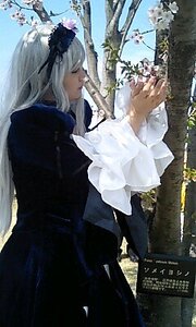 Rating: Safe Score: 0 Tags: 1girl bangs black_dress closed_eyes day dress flower frills long_hair long_sleeves outdoors profile solo suigintou tree very_long_hair white_hair User: admin