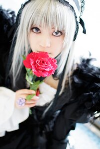 Rating: Safe Score: 0 Tags: 1girl bangs blurry blurry_background blurry_foreground depth_of_field flower holding lolita_hairband long_hair long_sleeves looking_at_viewer photo red_flower red_rose rose solo suigintou upper_body white_hair User: admin