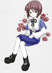 Rating: Safe Score: 0 Tags: boots crossed_legs flower green_eyes heterochromia image pantyhose red_flower red_rose rose short_hair sitting solo souseiseki User: admin