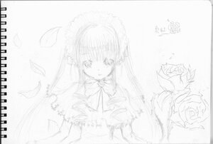 Rating: Safe Score: 0 Tags: 1girl blush dress flower image long_hair looking_at_viewer monochrome rose shinku simple_background solo traditional_media User: admin