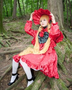 Rating: Safe Score: 0 Tags: 1girl blonde_hair dress flower forest lips nature outdoors red_dress shinku sitting solo traditional_media tree User: admin