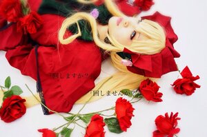 Rating: Safe Score: 0 Tags: 1girl blonde_hair blue_eyes camellia capelet flower lips long_hair looking_at_viewer pink_rose red_capelet red_flower red_rose rose shinku solo traditional_media User: admin