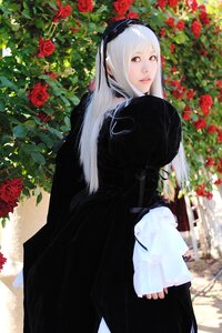 Rating: Safe Score: 0 Tags: 1girl bangs black_dress dress flower gothic_lolita hairband long_hair looking_at_viewer looking_back plant red_eyes red_flower red_rose rose solo suigintou thorns User: admin