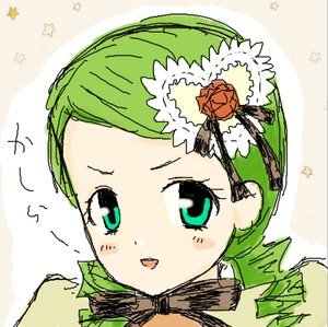 Rating: Safe Score: 0 Tags: 1girl :d blush fang flower green_eyes green_hair image kanaria open_mouth portrait rose smile solo star_(symbol) User: admin