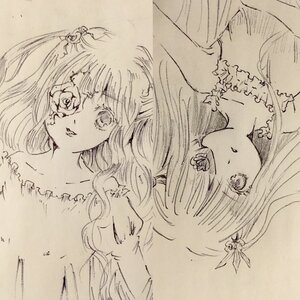 Rating: Safe Score: 0 Tags: 2girls auto_tagged bangs barasuishou bare_shoulders collarbone flower hair_ornament image kirakishou long_hair looking_at_viewer monochrome multiple_girls pair parted_lips traditional_media upper_body User: admin