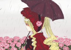 Rating: Safe Score: 0 Tags: 1girl blonde_hair blue_eyes bow dress flower holding holding_umbrella image long_hair pink_flower pink_rose profile rain red_flower red_rose red_umbrella rose shared_umbrella shinku solo umbrella User: admin