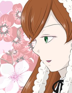 Rating: Safe Score: 0 Tags: 1girl brown_hair face floral_background flower green_eyes image open_mouth solo suiseiseki User: admin