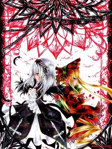 Rating: Safe Score: 0 Tags: 2girls blonde_hair dress flower frills hairband image long_hair long_sleeves looking_at_viewer multiple_girls pair profile red_eyes rose shinku silver_hair suigintou wings User: admin