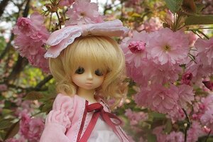 Rating: Safe Score: 0 Tags: 1girl blonde_hair blurry blurry_foreground cherry_blossoms depth_of_field doll flower hinaichigo lips looking_at_viewer outdoors pink_flower ribbon short_hair short_sleeves solo upper_body User: admin