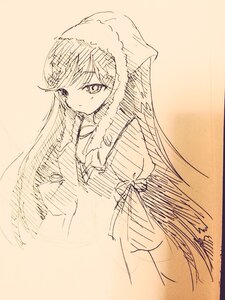 Rating: Safe Score: 0 Tags: 1girl bangs closed_mouth dress eyebrows_visible_through_hair image juliet_sleeves long_hair long_sleeves looking_at_viewer monochrome puffy_sleeves sketch solo suiseiseki very_long_hair User: admin