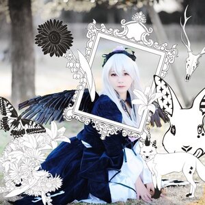 Rating: Safe Score: 0 Tags: 1girl blurry dress flower hairband long_hair long_sleeves photo solo suigintou white_hair wings User: admin