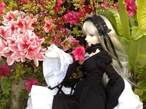 Rating: Safe Score: 0 Tags: 1girl black_dress bouquet doll dress flower long_hair red_flower solo suigintou very_long_hair white_hair User: admin
