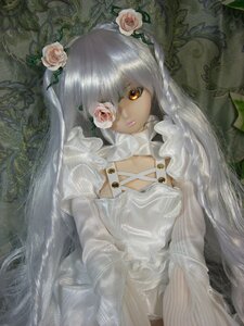 Rating: Safe Score: 0 Tags: 1girl bangs closed_mouth doll dress expressionless eyepatch flower hair_flower hair_ornament kirakishou lips long_hair looking_at_viewer pink_rose rose solo veil very_long_hair vines white_dress white_flower white_hair white_rose User: admin