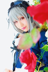 Rating: Safe Score: 0 Tags: 1girl blurry closed_mouth depth_of_field flower lips looking_at_viewer photo red_eyes rose solo suigintou User: admin