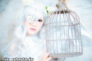 Rating: Safe Score: 0 Tags: 1girl bangs birdcage blurry blurry_background cage closed_mouth depth_of_field flower kirakishou lips long_hair looking_at_viewer photo solo sweater upper_body white_hair User: admin