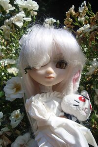 Rating: Safe Score: 0 Tags: 1girl bangs closed_mouth doll flower frills hair_over_one_eye kirakishou leaf lips looking_at_viewer one_eye_covered red_eyes solo upper_body white_flower white_hair User: admin
