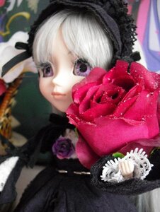 Rating: Safe Score: 0 Tags: 1girl blurry blurry_background blurry_foreground depth_of_field doll flower hat lolita_hairband looking_at_viewer photo pink_flower pink_rose purple_eyes red_rose rose shinku solo suigintou upper_body User: admin