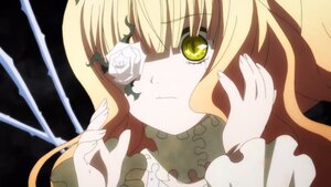 Rating: Safe Score: 0 Tags: 1girl blonde_hair flower image kirakishou long_hair looking_at_viewer rose solo white_flower white_rose yellow_eyes User: admin