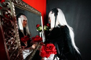 Rating: Safe Score: 0 Tags: 2girls dress flower long_hair multiple_girls rose solo suigintou white_hair User: admin