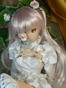 Rating: Safe Score: 0 Tags: 1girl brown_eyes doll dress flower hair_flower hair_ornament kirakishou lips long_hair photo rose solo white_flower white_hair white_rose User: admin